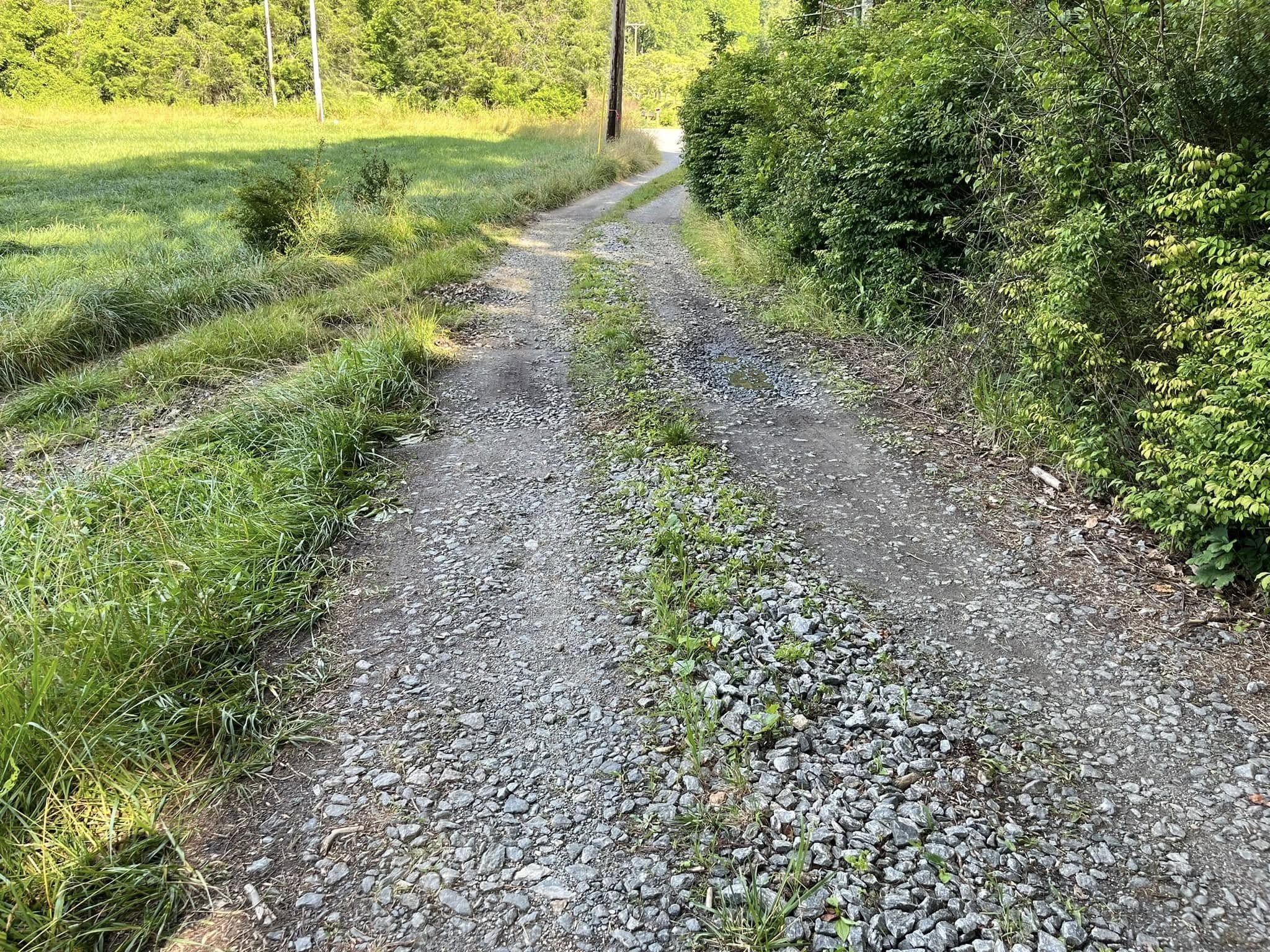 Rutted gravel driveway holding water before repair