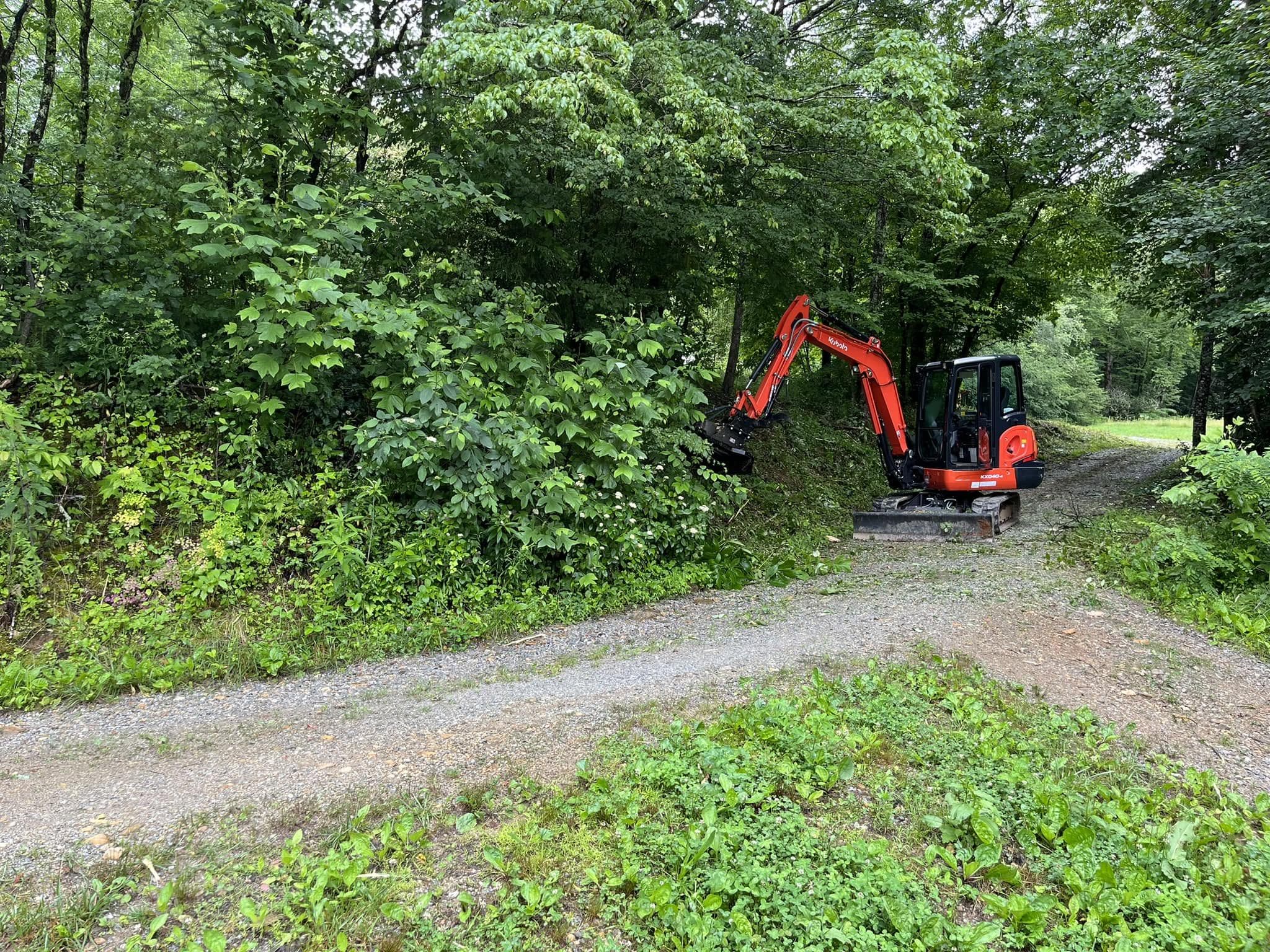 Excavator clearing heavy roadside vegetation