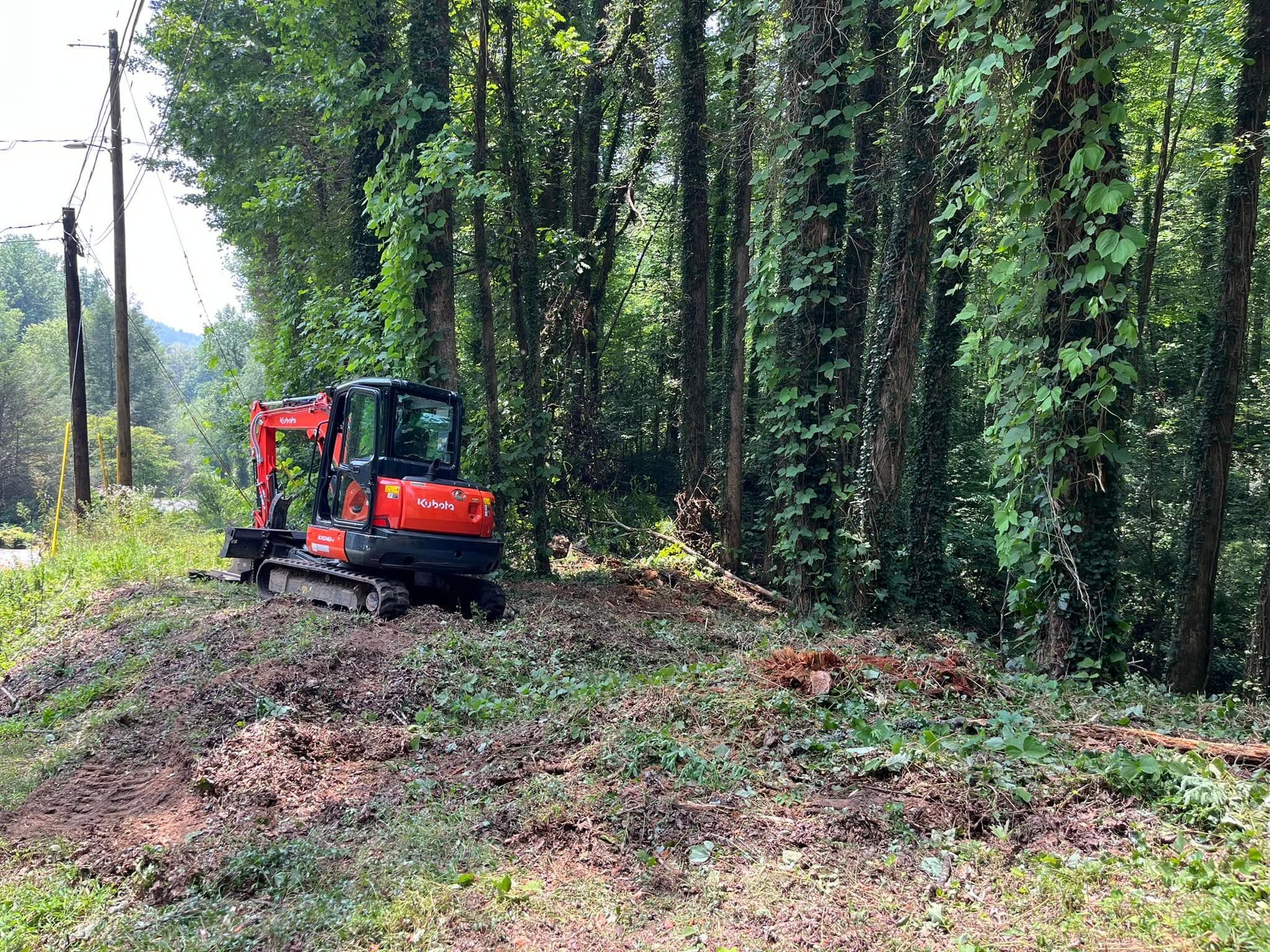 Excavator clearing vegetation along a wooded property edge