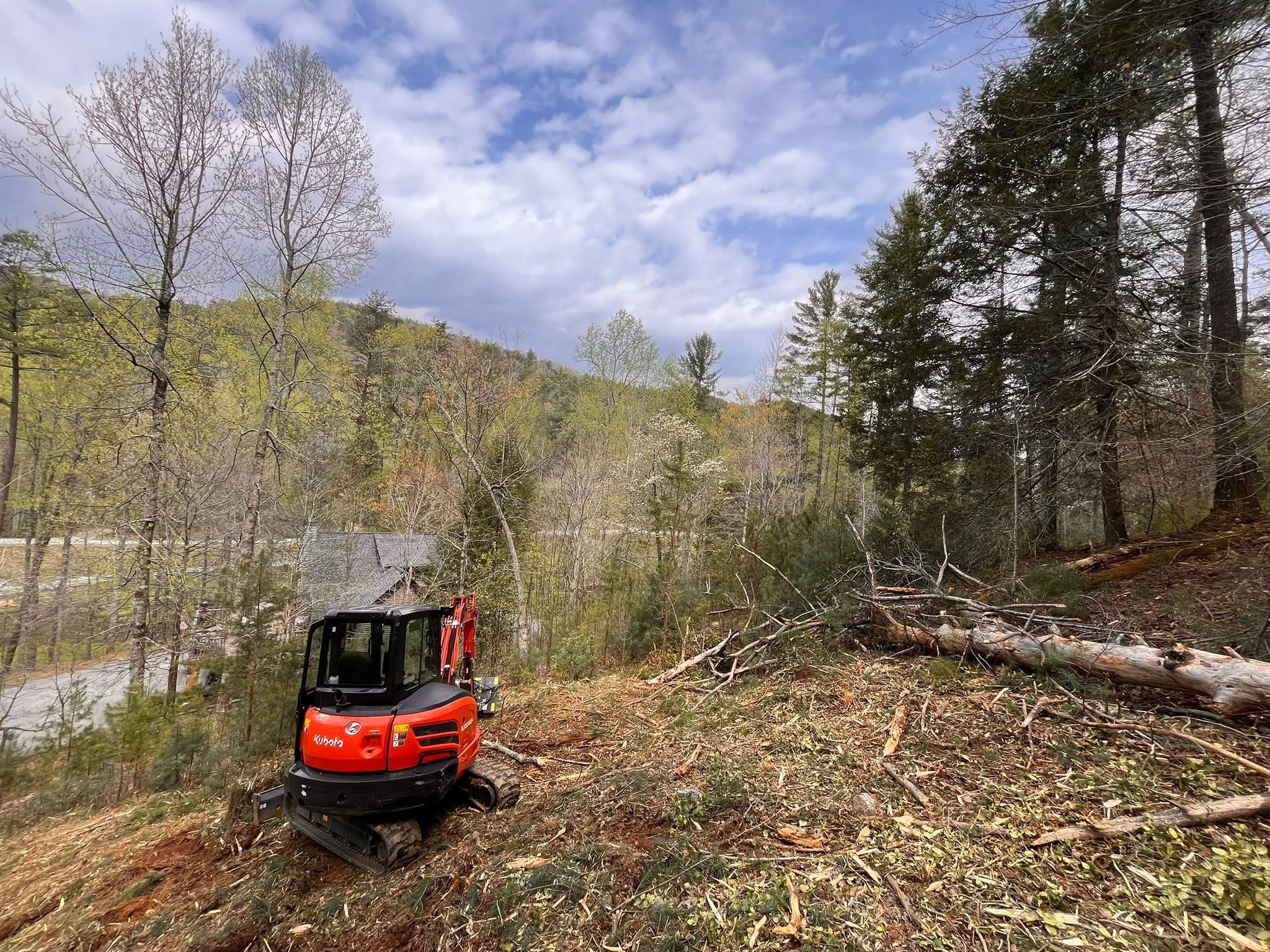 Mountain Tamer excavator working on a steep wooded mountain property