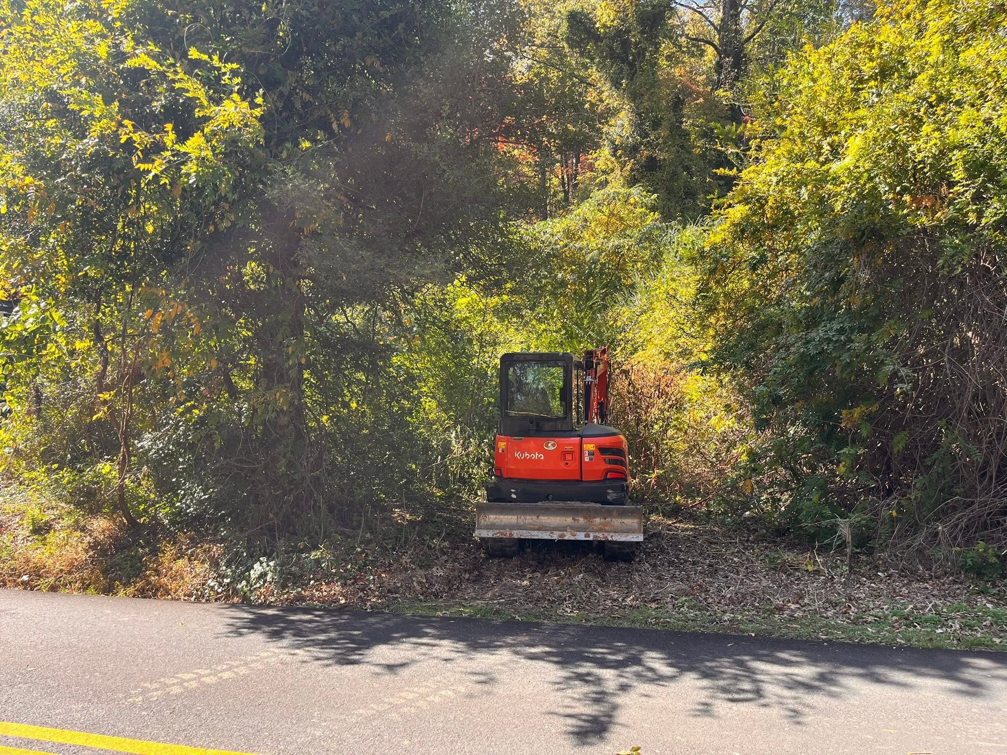 Kubota excavator working in a newly cleared roadside opening