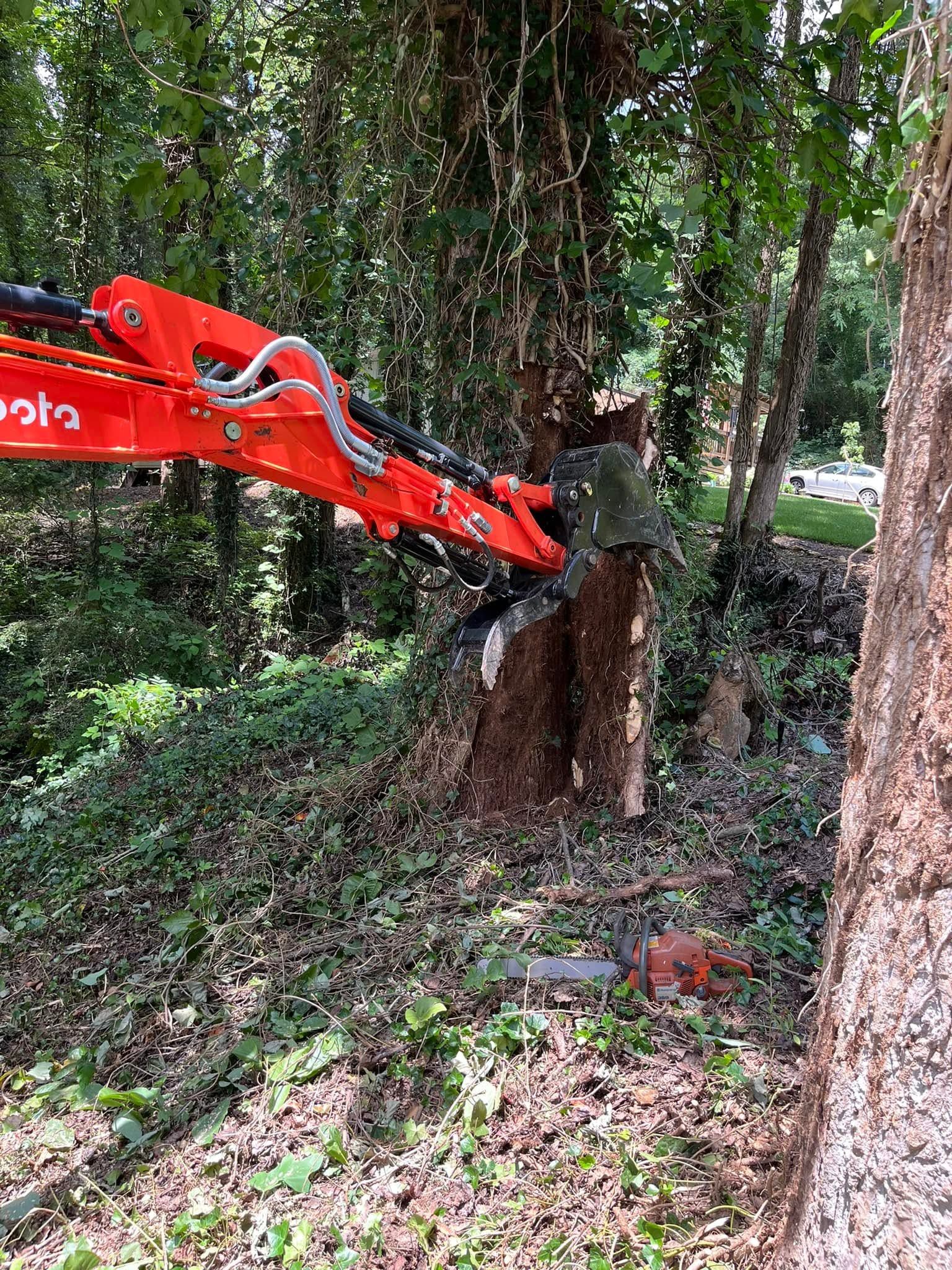 Excavator hydraulic thumb handling a cut tree trunk